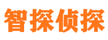 比如外遇出轨调查取证